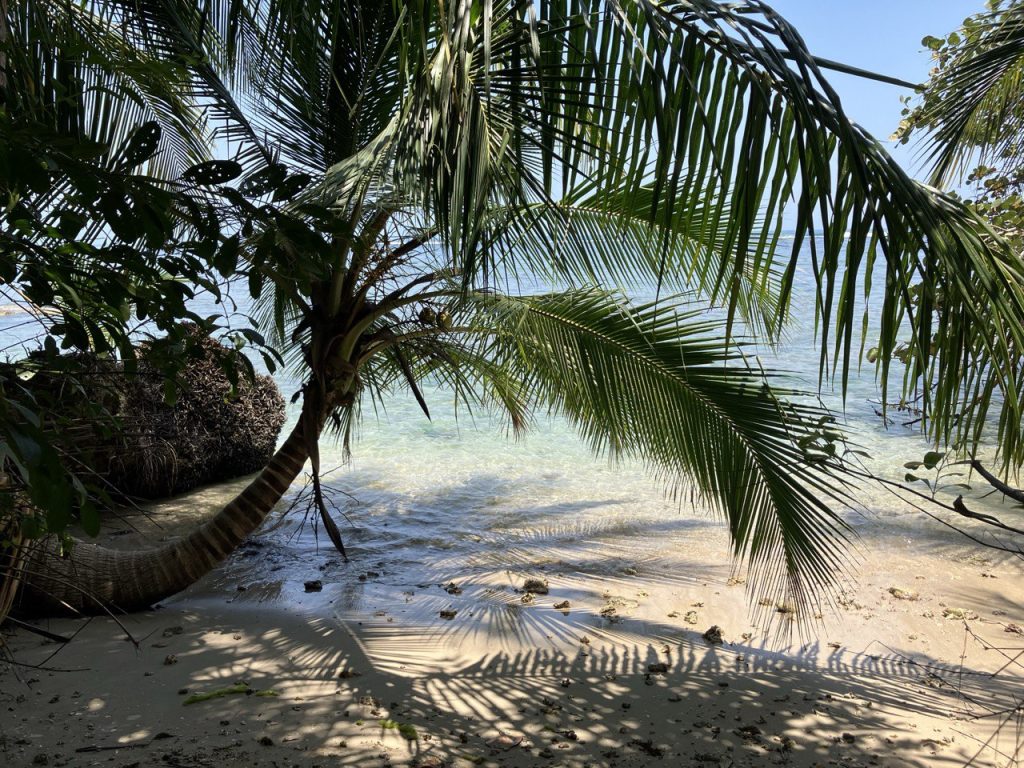Parc national de Cahuita au Costa Rica